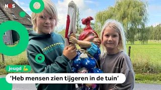 In this village, they hunt for a statue day and night: 'Where is Bea?'
