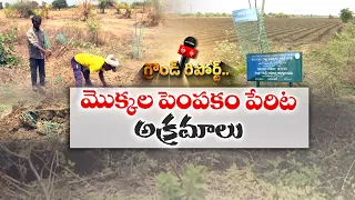 హరితవనాల పేరుతో నిధుల దుర్వినియోగం? | ఆదిలాబాద్‌లో వెలుగులోకి కీలక విషయాలు || ETV Ground Report