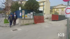 Sapri abbattimento DSM 5mar