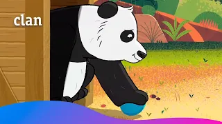 Audrey has a mission: save the panda! | Audrey's Shelter | Clan TVE