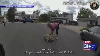 ‘World’s slowest escape’: Officer helps wandering tortoise return home in Littleton