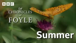Transforming a TREE into a CANOE: Indigenous Knowledge Production on the Foyle | Chronicles of Foyle