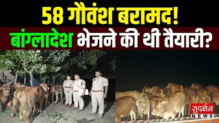 बांग्लादेश भेजे जा रहे थे 58 गौवंश! जन्माष्टमी पर Assam Police का बड़ा एक्शन | Himanta Biswa Sarma