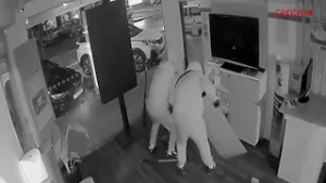 Câmara de vídeo vigilância capta assalto a loja de telemóveis em Oliveira do Hospital