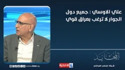 Ali Al-Ousi: None of the neighboring countries want a strong Iraq