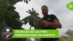 Eat It Up | In Sabiote, Jaén, agricultural tradition meets innovative farming techniques