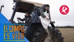 Isabel y Lidia recurren al tractor para alimentar al ganado debido al barro | El campo es vida