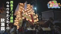 [Beloved Ehime Stroll] Enjoying the Festivals and Gourmet Food of Saijo City!