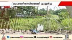 വീണ ജോർജിന്റെ സ്വപ്ന പദ്ധതി ശാപമായി മാറുന്നുവോ?; കയറാനും ഇറങ്ങാനും കഴിയാതെ അബാൻ മേൽപാലം