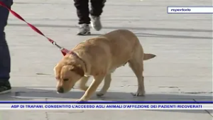 ASP DI TRAPANI, CONSENTITO L'ACCESSO AGLI ANIMALI D'AFFEZIONE DEI PAZIENTI RICOVERATI