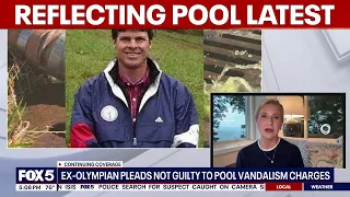 David Hearn pleads not guilty in Reflecting Pool damage case