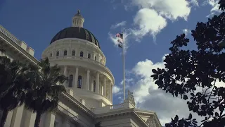 California Legislature: Antitrust bill advances, bear study fails