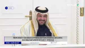 Мемлекет басшысы Power International Holding басшылығымен кездесу өткізді