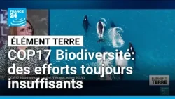 COP17 biodiversité: des efforts insuffisants pour enrayer l'extinction de masse • FRANCE 24