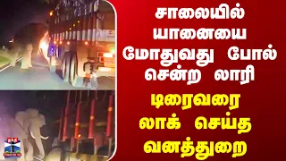 Lorry | Wild Elephant | சாலையில் யானையை மோதுவது போல் சென்ற லாரி.. டிரைவரை லாக் செய்த வனத்துறை