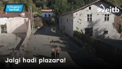 TRIBUAREN BERBAK: Jalgi hadi plazara!