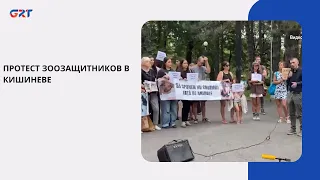 ANIMAL RIGHTS PROTEST IN CHISINAU