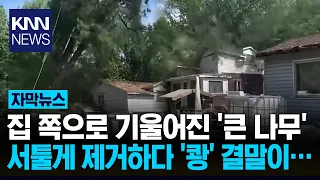 A Tree-Felling Disaster: Tried to Remove a Tree, Ended Up Removing the House / KNN