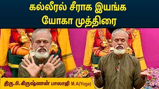 கல்லீரல் சீராக இயங்க யோகா முத்திரை | Proper Liver Function | Krishnan Balaji | MEGA TV