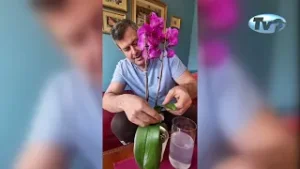 BAVLJENJE BAŠTOVANSTVOM ZAHTEVA POSVEĆENOST