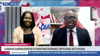 Leveraging Diaspora Expertise To Strengthen Governance, Institutional Devt In Nigeria