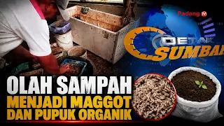 OLAH SAMPAH MENJADI MAGGOT DAN PUPUK ORGANIK