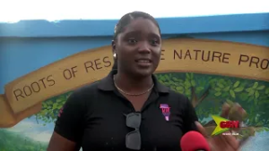 Mangrove Mural Unveiled