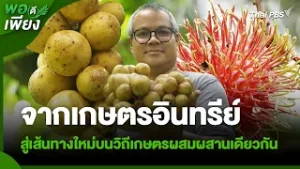 จากเกษตรอินทรีย์ สู่เส้นทางใหม่บนวิถีเกษตรผสมผสานเดียวกัน | พอดีพอเพียง | วันใหม่วาไรตี้