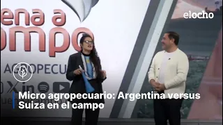ARGENTINA VERSUS SUIZA EN EL CAMPO