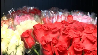Jean's Flower Shop gives away free roses for Good Neighbour Day