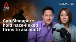 Making companies behind the haze pay: Can Singapore succeed? | Deep Dive