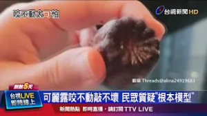 烤太久導致可麗露咬不動？ 甜點師：不正常