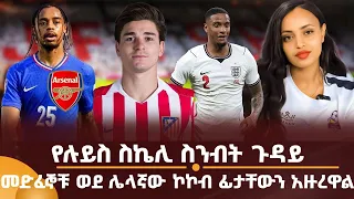 የሉይስ ስኬሊ ስንብት ጉዳይ! መድፈኞቹ ወደ ሌላኛው ኮኮብ ፊታቸውን አዙረዋል