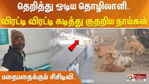 தெறித்து ஓடிய தொழிலாளி.. விரட்டி விரட்டி கடித்து குதறிய நாய்கள் - பதைபதைக்கும் சிசிடிவி..