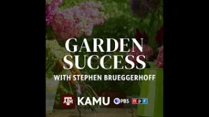 Garden Success – 1/22/2026: Q&A With Stephen Brueggerhoff