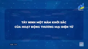 Một số hoạt động nổi bật trong 19/02/2026
