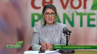 WHAT PLANTS WANT CHRISTINA GHIBU 08/30/2026 P2