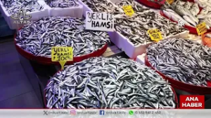 Ordu Altaş TV Ana Haber | 1 Mart 2026