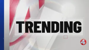 Bisons host annual spring training carnival