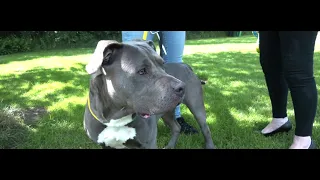 06/22/2026 HB Animal of the Month Moos