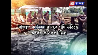 ৰাজ্যত কাঠফুলাৰ দৰে গঢ়ি উঠিছে অবৈধ কাঠৰ মিল