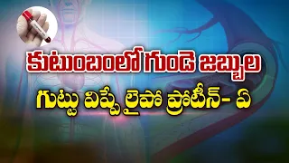 కుటుంబంలో గుండె జబ్బుల గుట్టు విప్పే లైపో ప్రోటీన్-ఏ | Sukhibhava | ETV Life