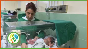 Relevancia de la lactancia materna exclusiva