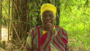 Sive Siyetfutfuka || Bamboo Farming in Eswatini Part 1