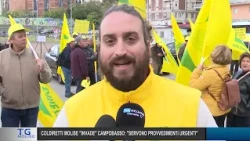 Molise News 2:00 PM – 10/29/2026
