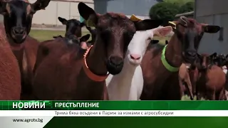 Трима бяха осъдени в Париж за измами с агросубсидии
