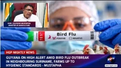 Guyana On High Alert Amid Bird Flu Outbreak In Neighbouring Suriname, Farms Up To....