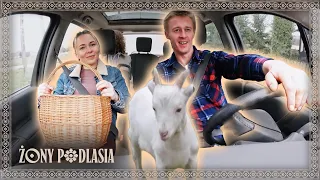 HE TRADED A GOAT FOR EGGS?! 😳 | Wives of Podlasie