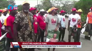 Boosting Agriculture: NGO To Support Seedling Distribution To Farmers In Imo State
