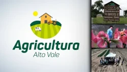 Alto Vale Agriculture – Ed. 10/17/2026